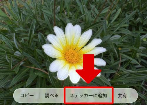 iPhoneステッカー機能の使い方を徹底解説!LINEで送る方法は?インスタの貼り方は?