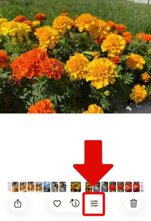 iPhoneステッカー機能の使い方を徹底解説!LINEで送る方法は?インスタの貼り方は?