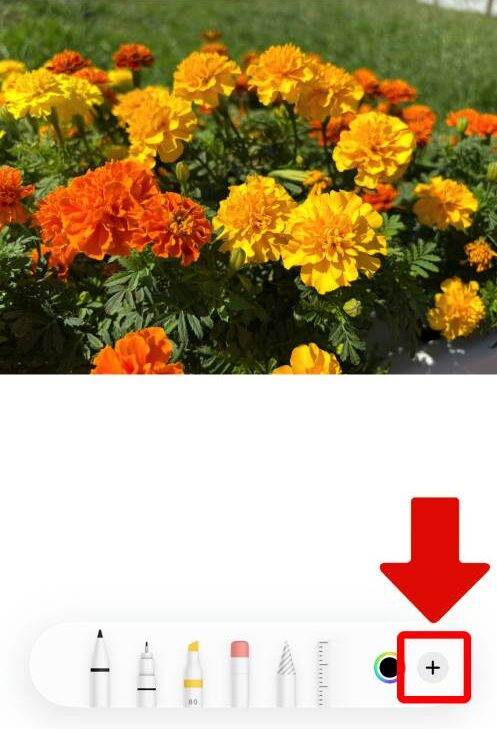 iPhoneステッカー機能の使い方を徹底解説!LINEで送る方法は?インスタの貼り方は?