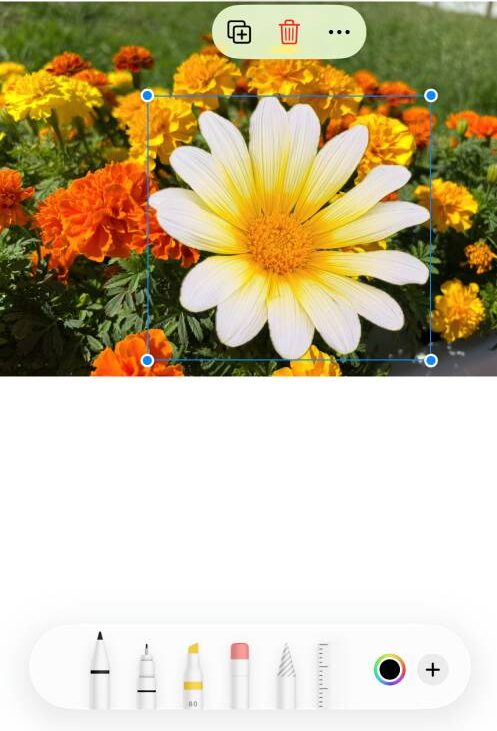 iPhoneステッカー機能の使い方を徹底解説!LINEで送る方法は?インスタの貼り方は?