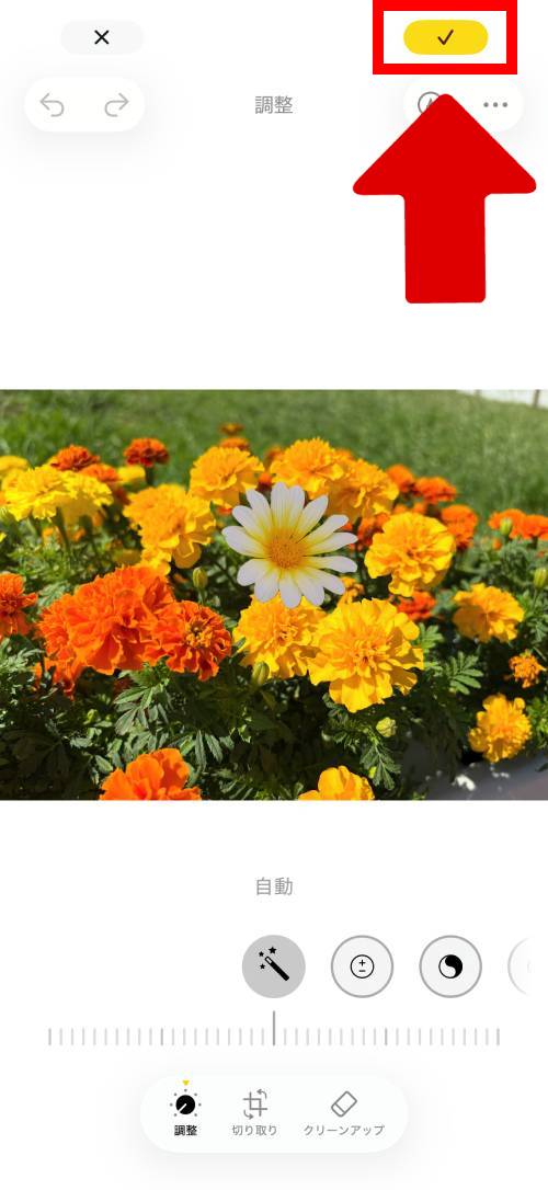 iPhoneステッカー機能の使い方を徹底解説!LINEで送る方法は?インスタの貼り方は?