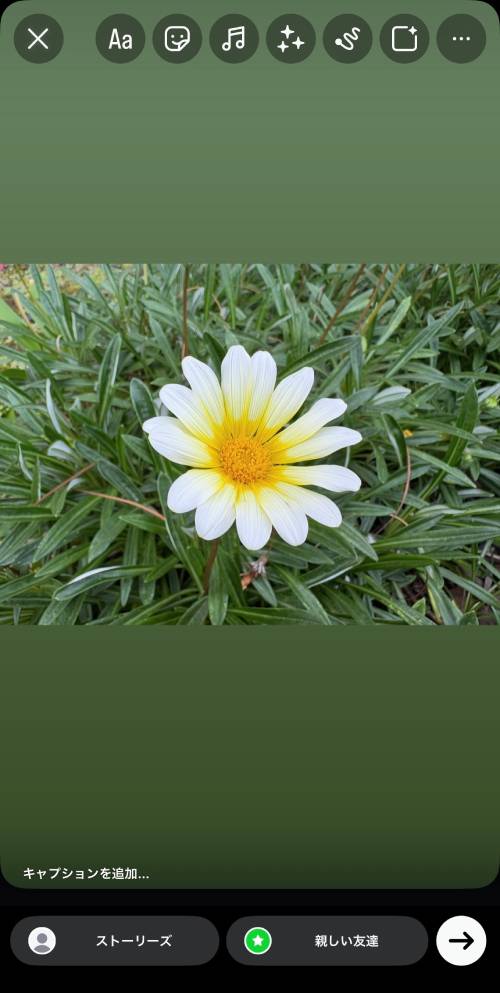 iPhoneステッカー機能の使い方を徹底解説!LINEで送る方法は?インスタの貼り方は?