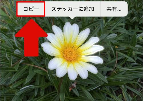 iPhoneステッカー機能の使い方を徹底解説!LINEで送る方法は?インスタの貼り方は?