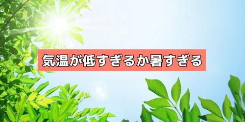 気温が低すぎる、または暑すぎる環境で使っている