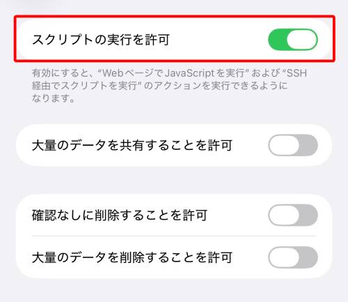 「スクリプトの実行を許可」をオン