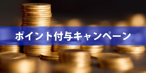 11,000円分ポイント付与キャンペーン！マイナンバーは必要？