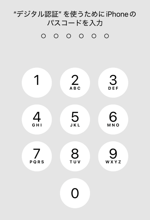 端末に設定しているパスコードを入力