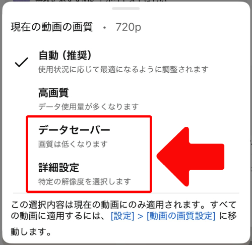 「データセーバー」もしくは「詳細設定」から画質を下げる