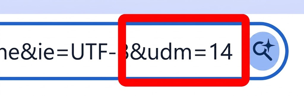 URLを選択して末尾に「&udm=14」を入力してページを更新