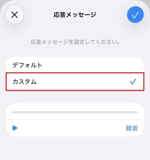 「カスタム」をタップします。