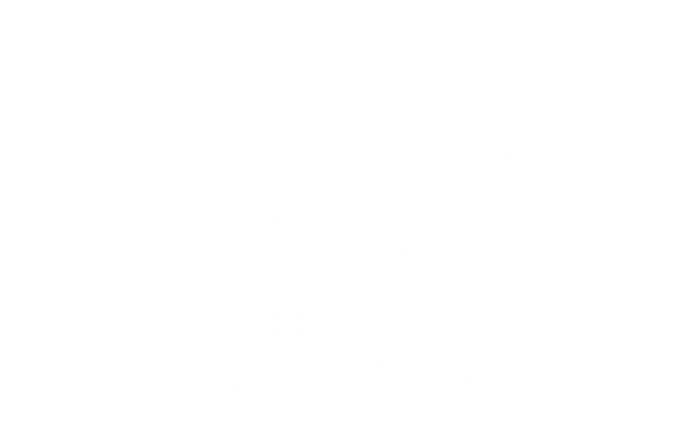 calbee(カルビー) サッカー日本代表チーム カード付きチップス うすしお味