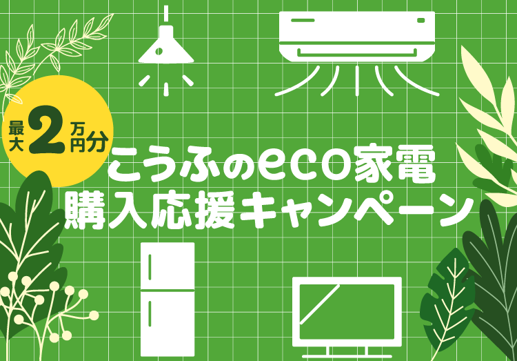 こうふのeco家電購入応援キャンペーントップ画像