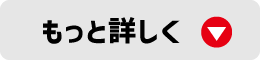 もっと詳しく