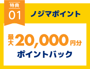 ノジマポイント