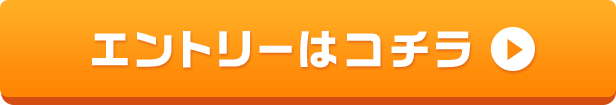 エントリーページ