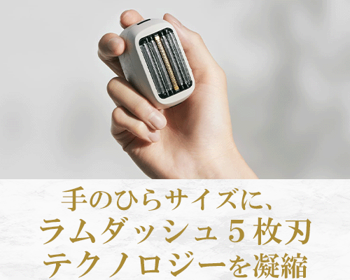 手のひらサイズ