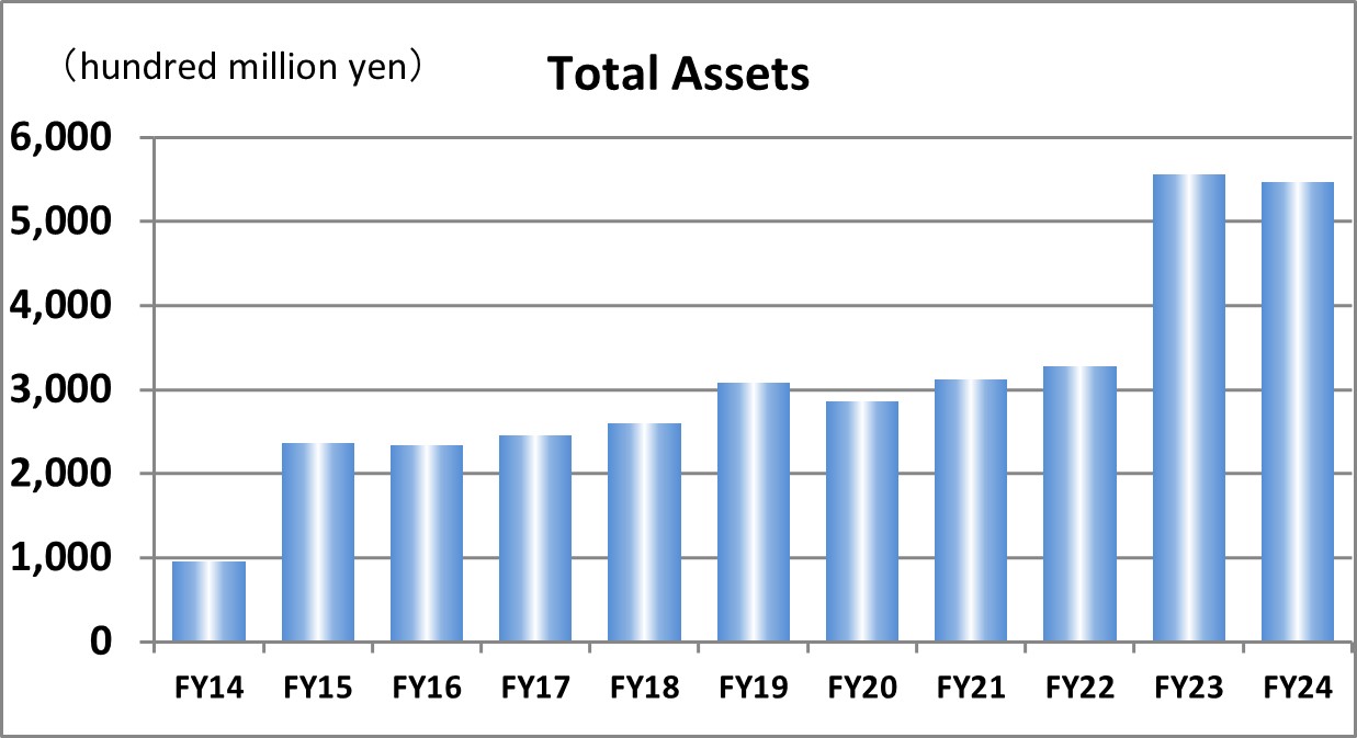 Total Assets