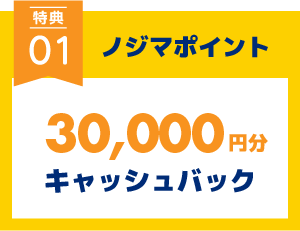 ノジマポイント