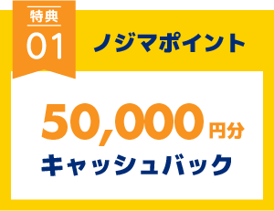 ノジマポイント