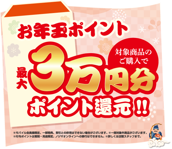 お年玉ポイント3万ポイント還元！SP版