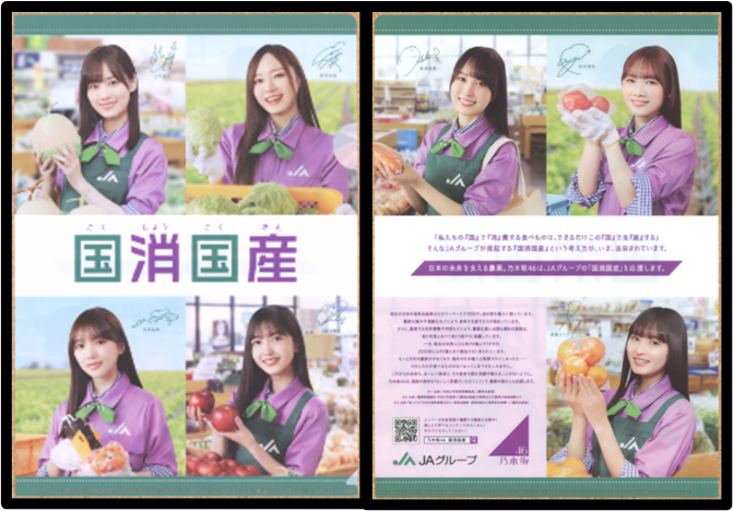 JAグループ国消国産クリアファイル