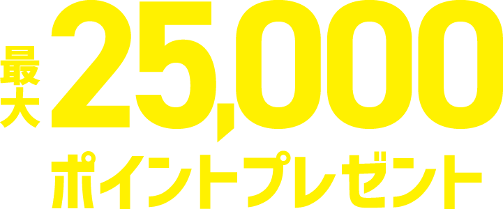 最大25,000ポイントプレゼント