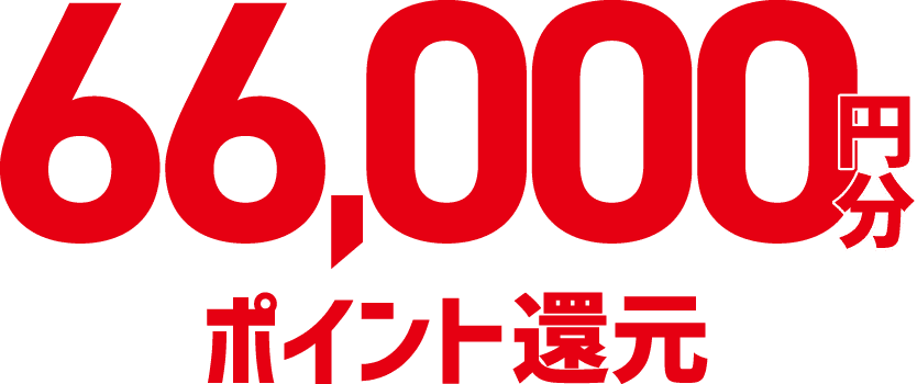 66,000円分ポイント還元