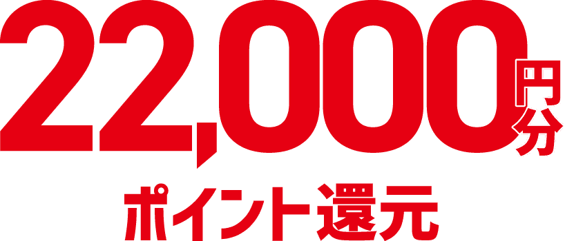 22,000円分ポイント還元